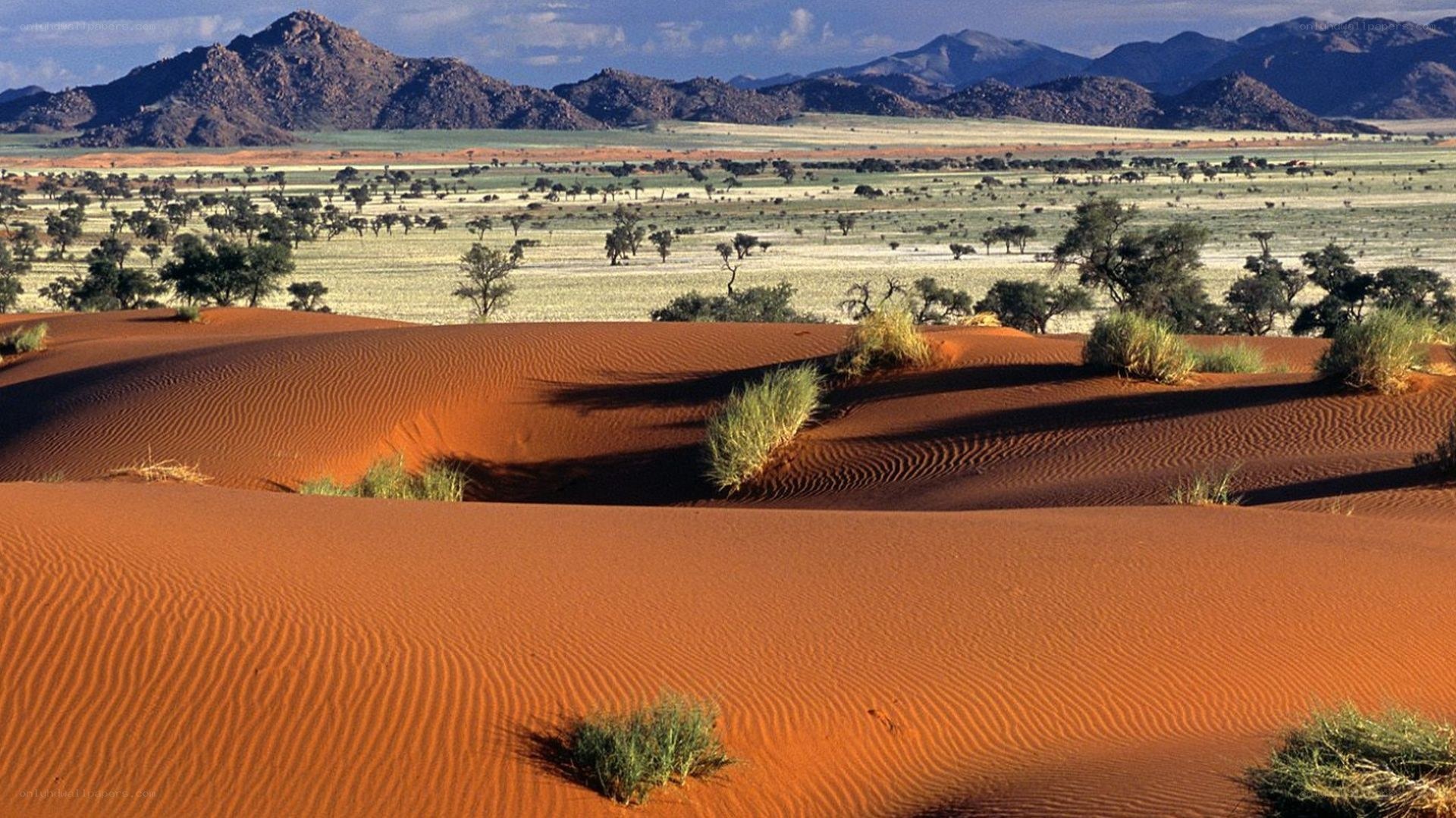 Desert dunes with mountains