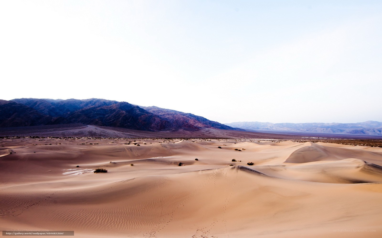 Desert dunes with mountains