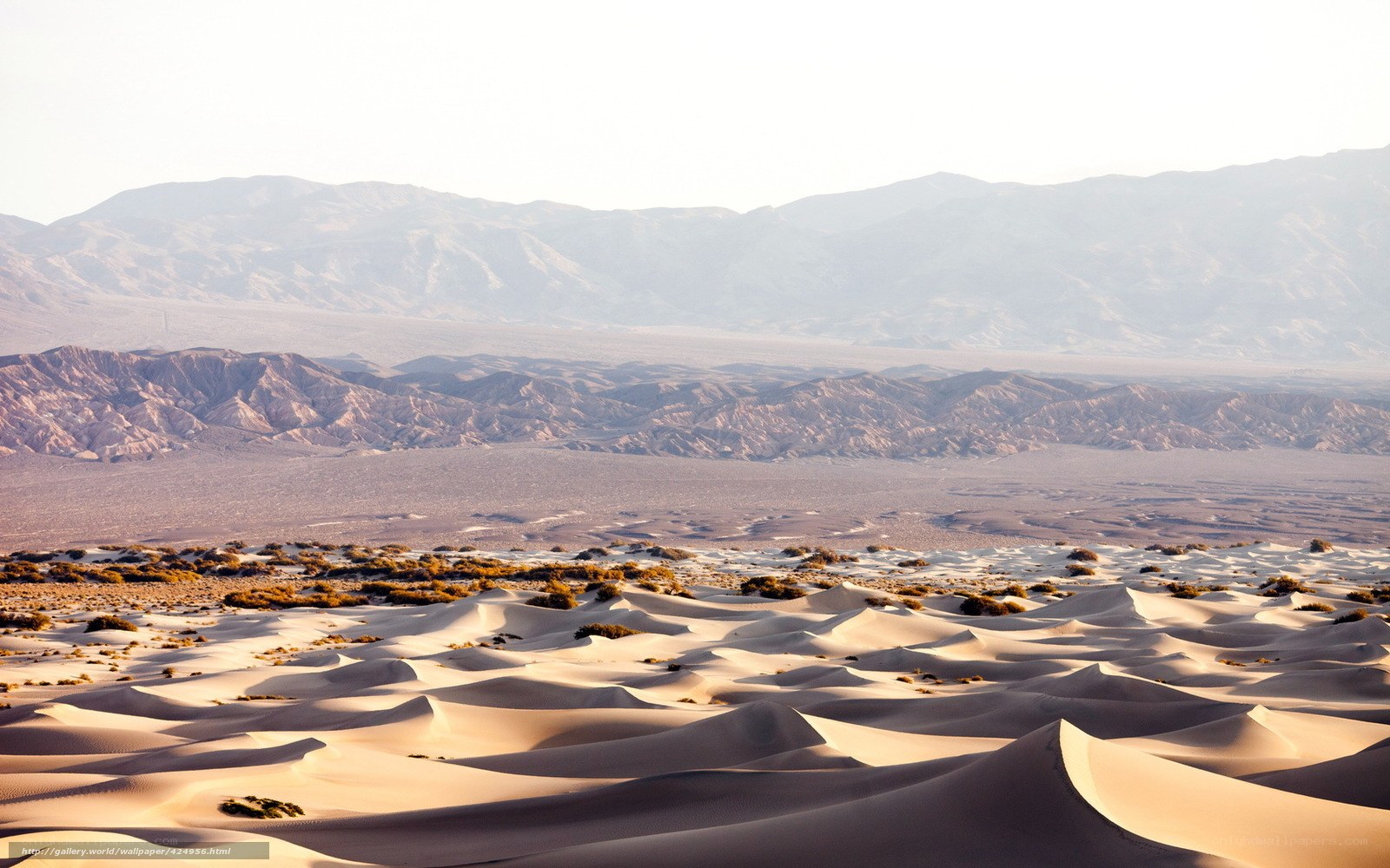 Desert dunes with mountains
