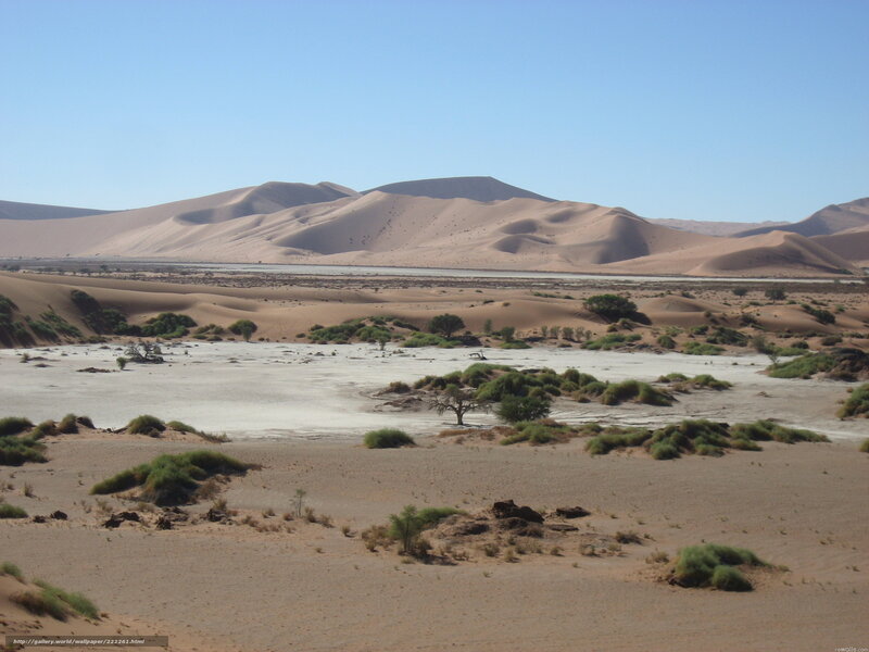 Desert dunes with oasis