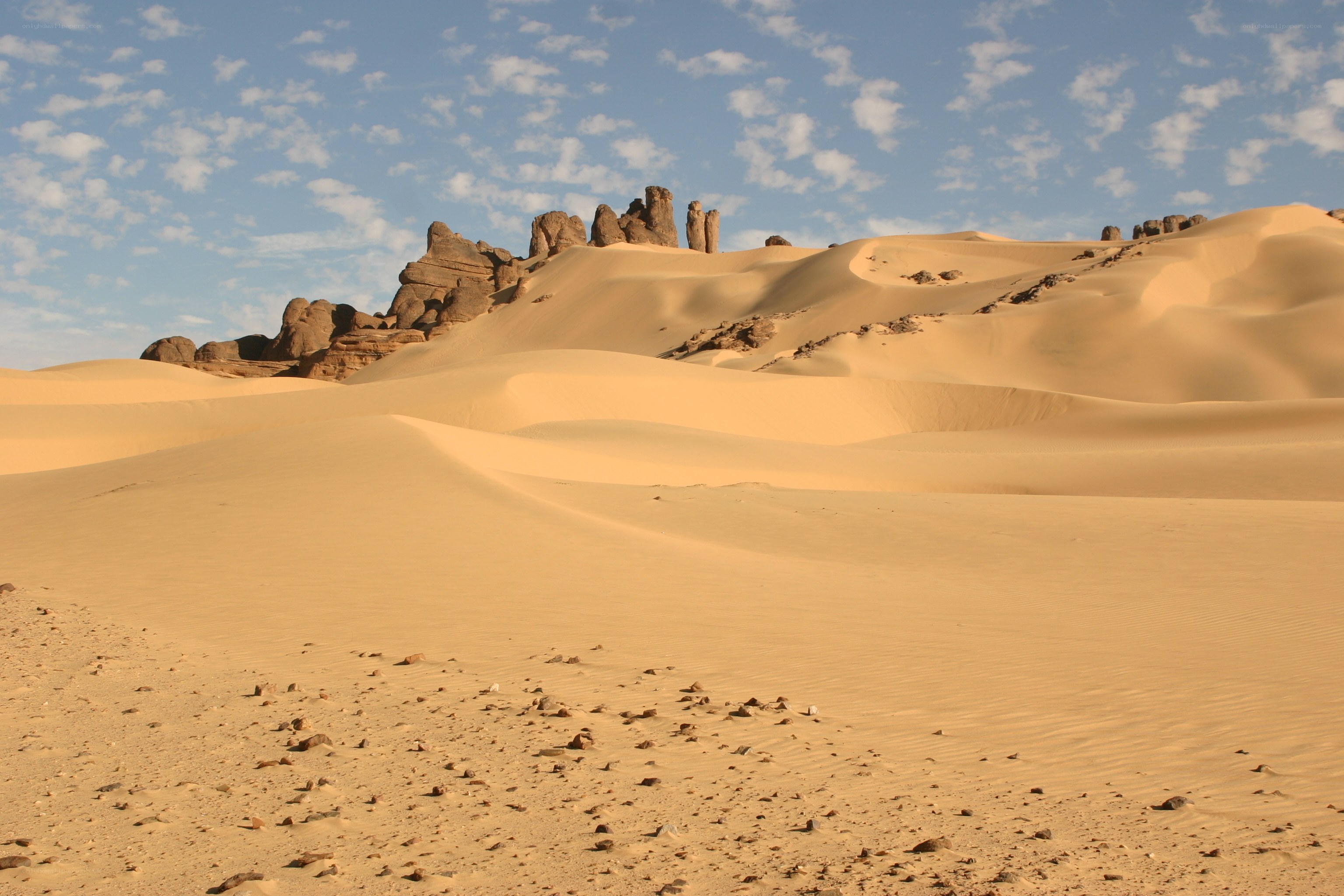 Desert dunes with rock formations
