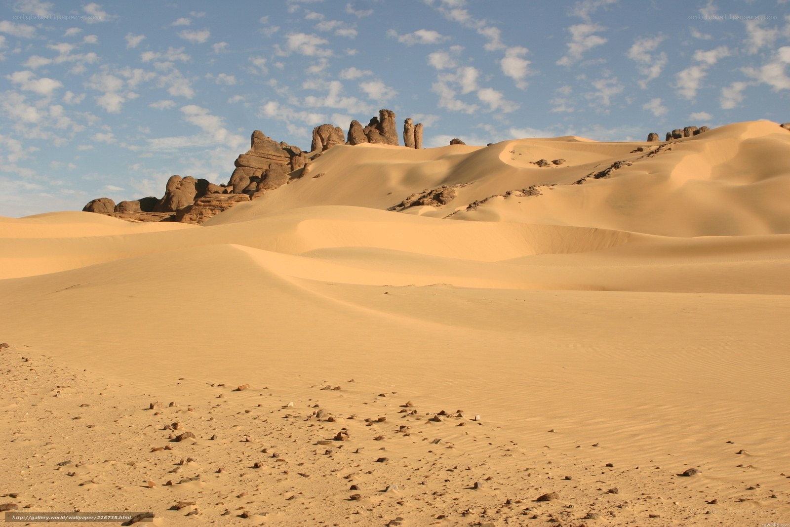 Desert dunes with rock formations