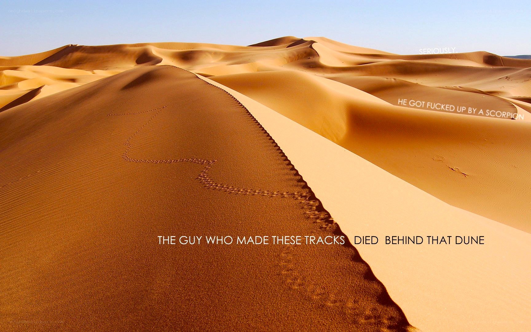 Desert dunes with text