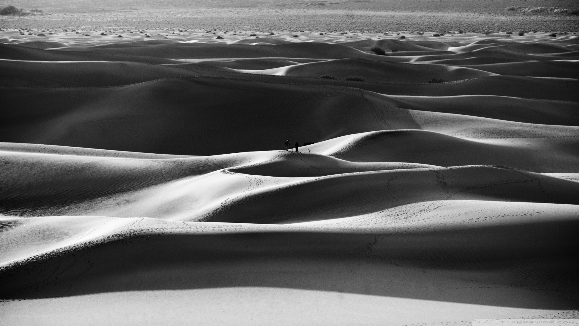 Desert dunes with travelers