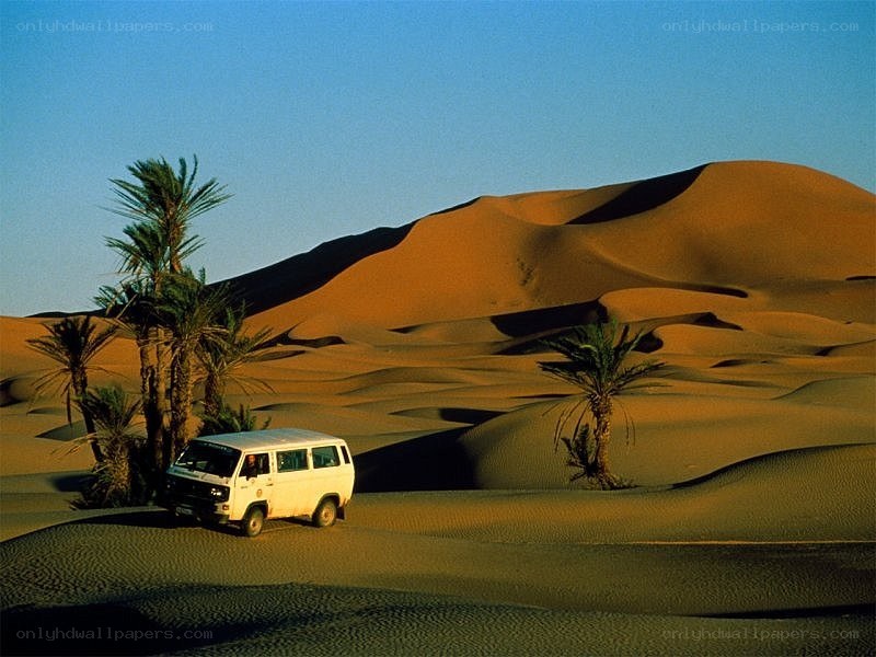 Desert dunes with van and palm trees