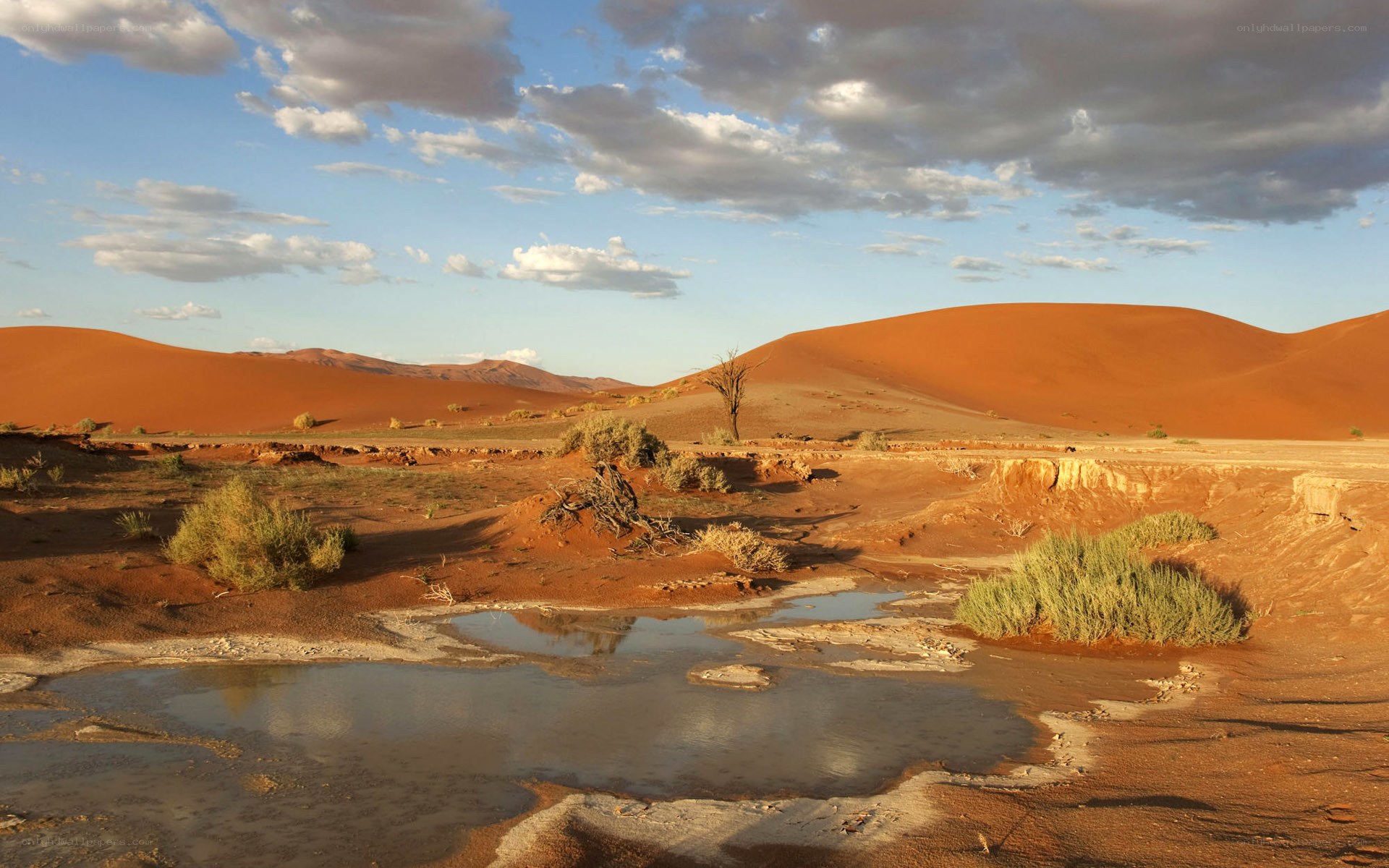 Desert dunes with water pool