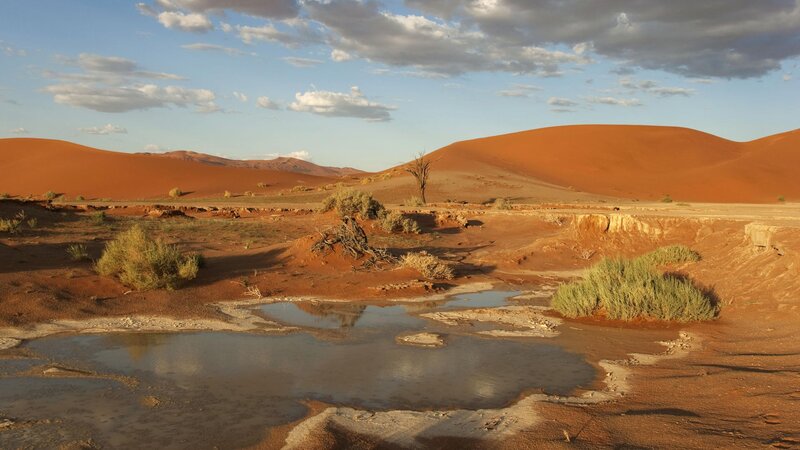 desert dunes with water pool