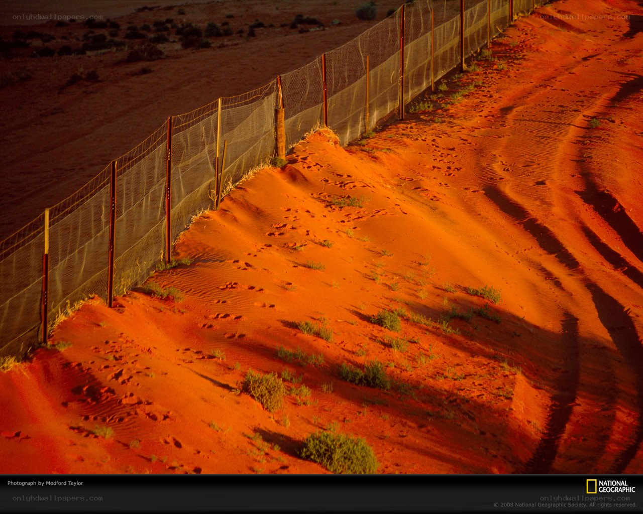 Desert fence at sunset