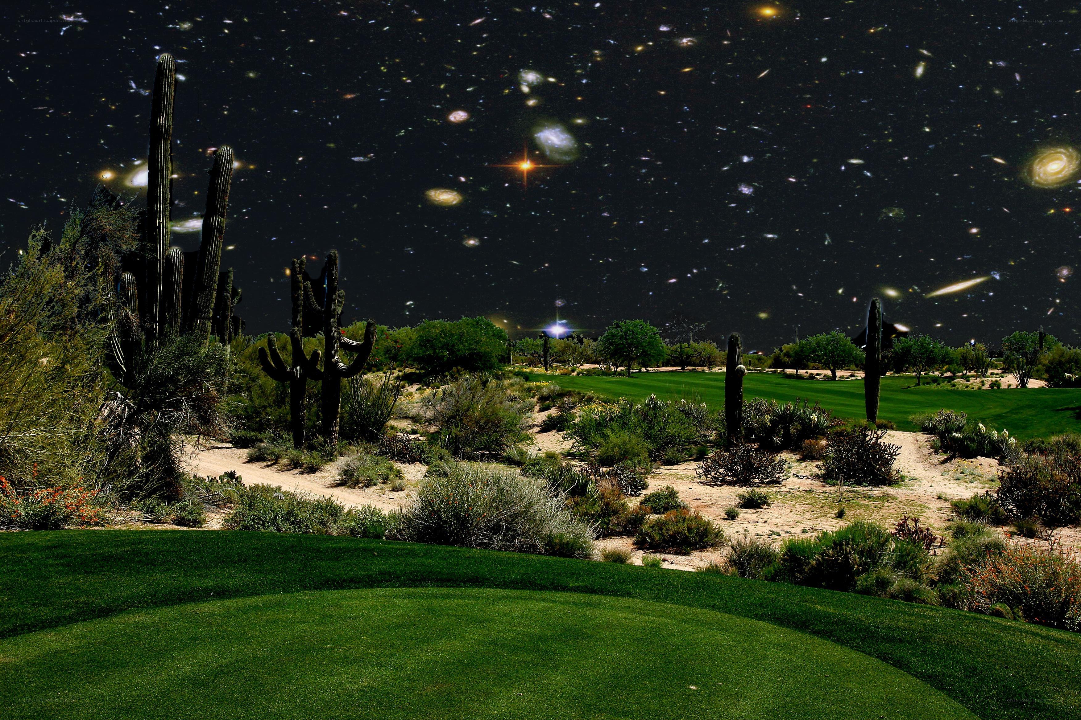 Desert golf course under starry sky