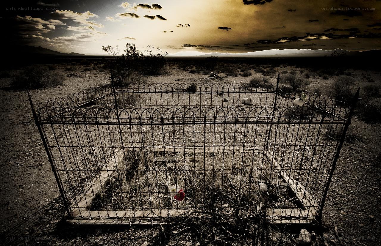 Desert grave with iron fence