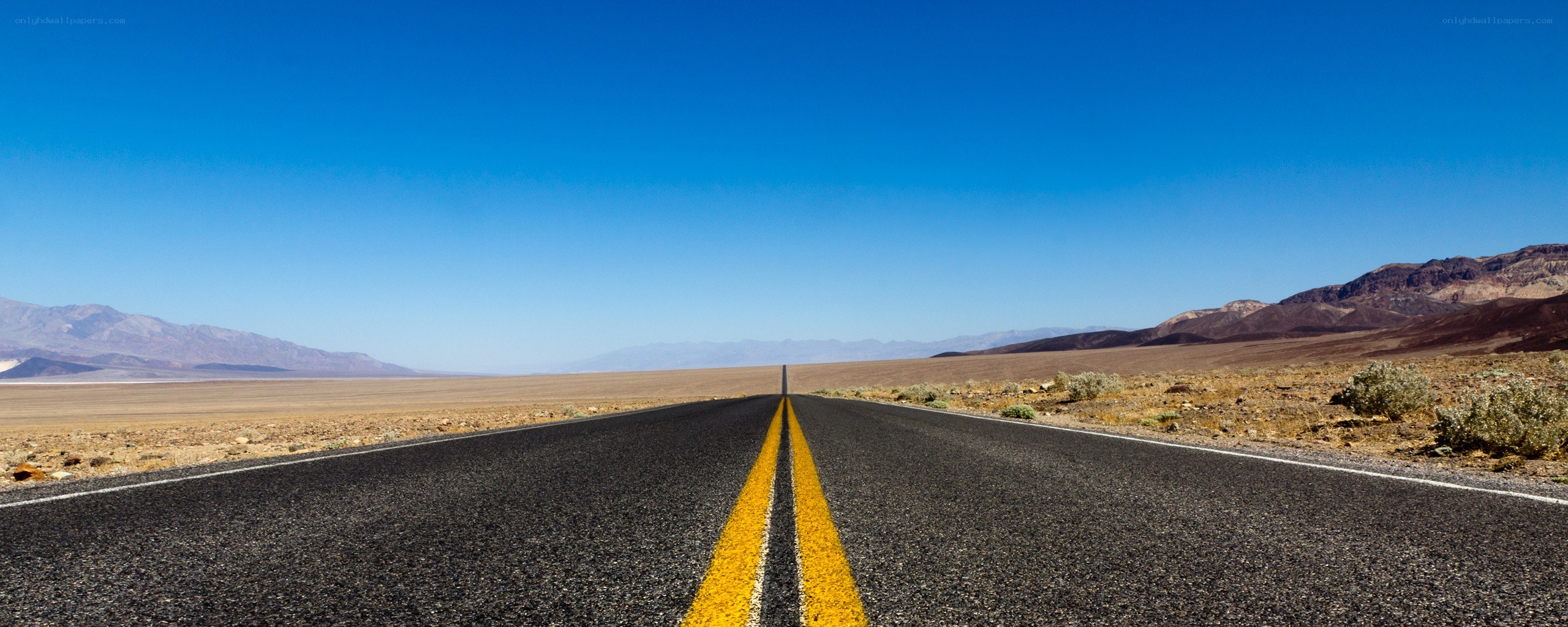 Desert highway stretching into the distance