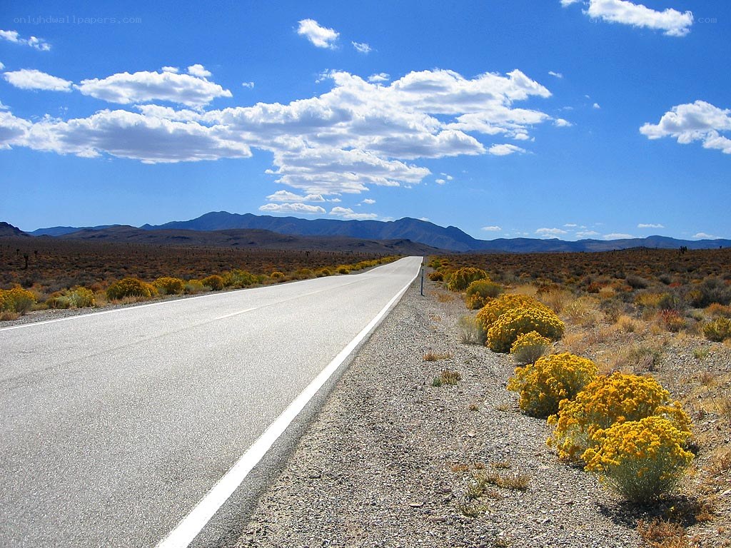 Desert highway under blue sky