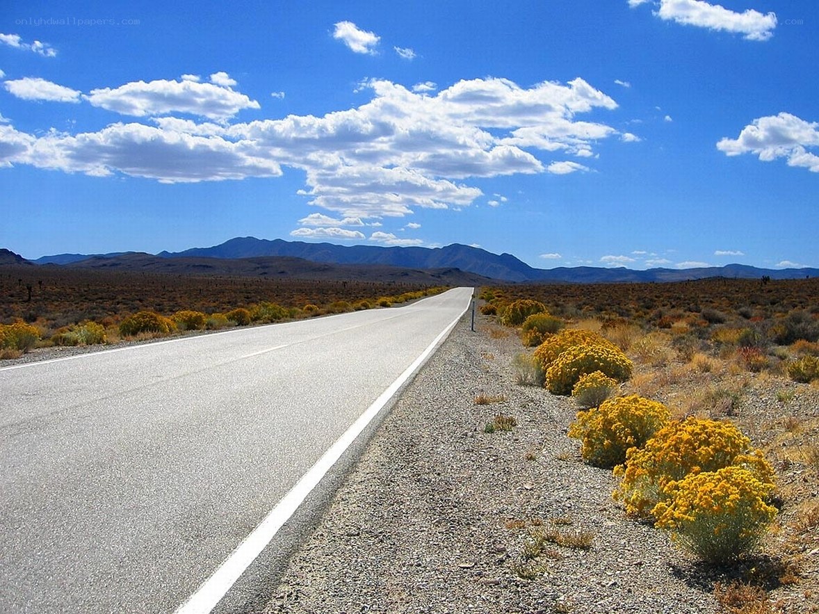 Desert highway under blue sky