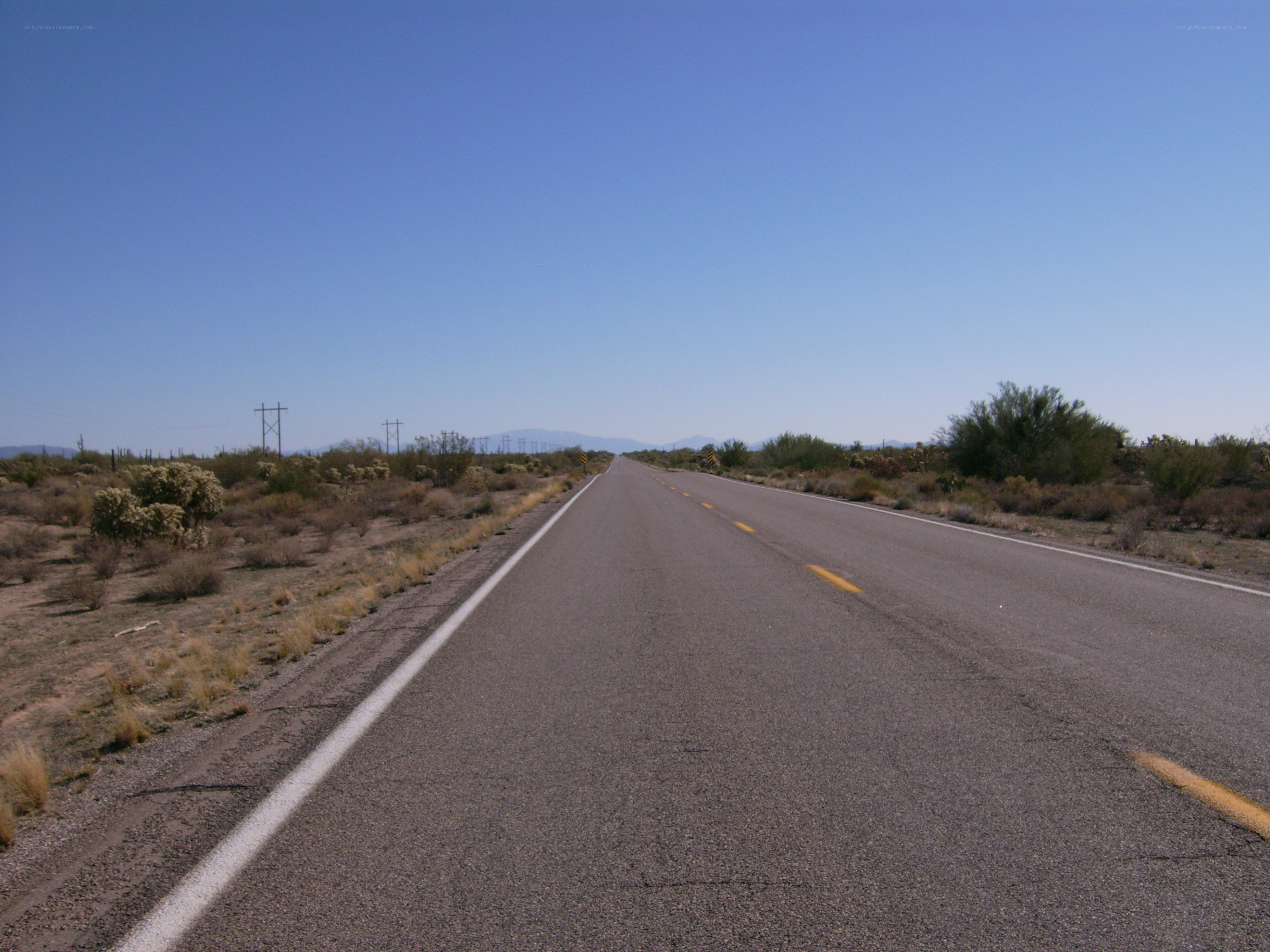 Desert highway under clear sky