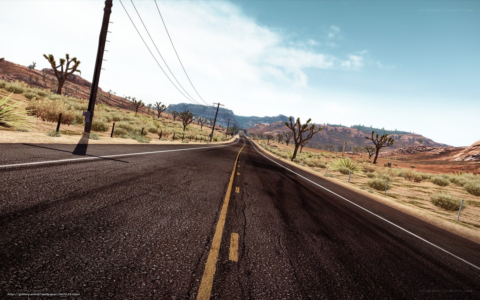 Desert highway with Joshua trees