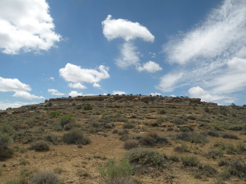 Desert Hill with Shrubs
