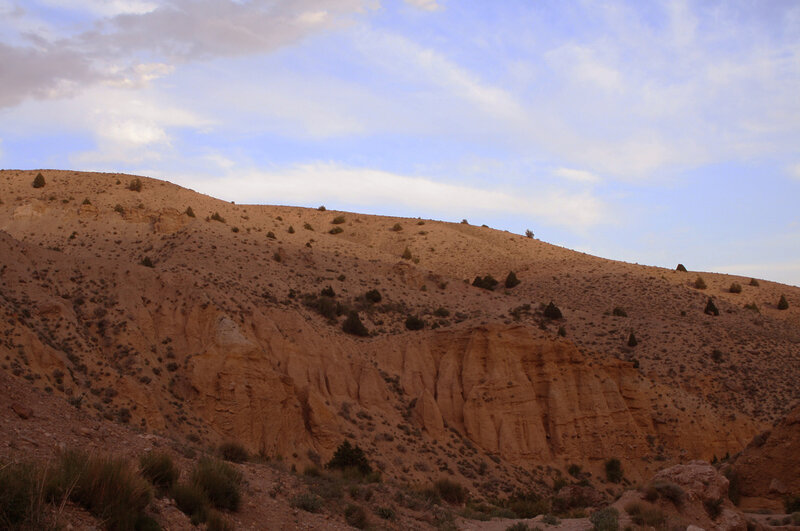 Desert Hillside Landscape