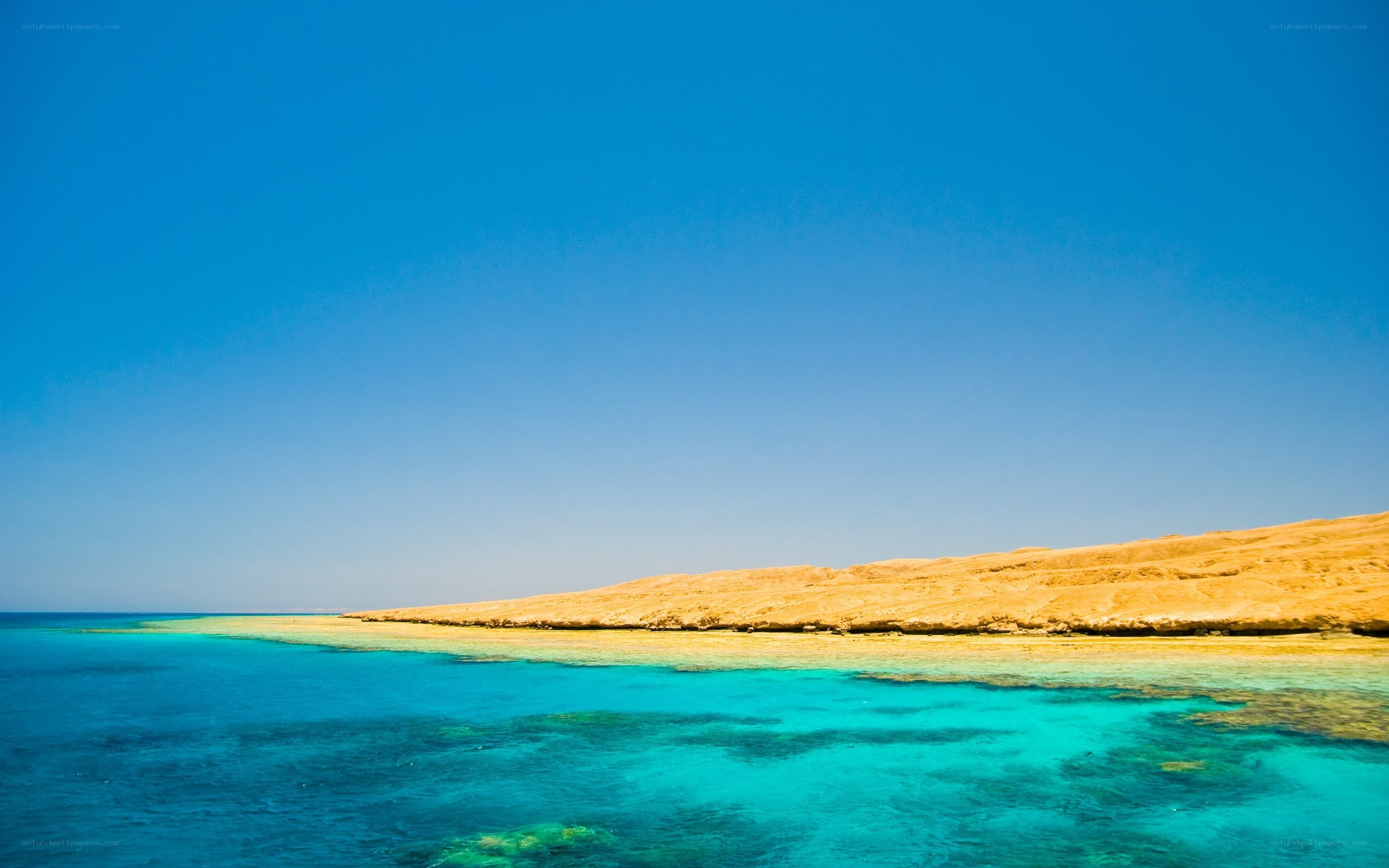 Desert island with turquoise water