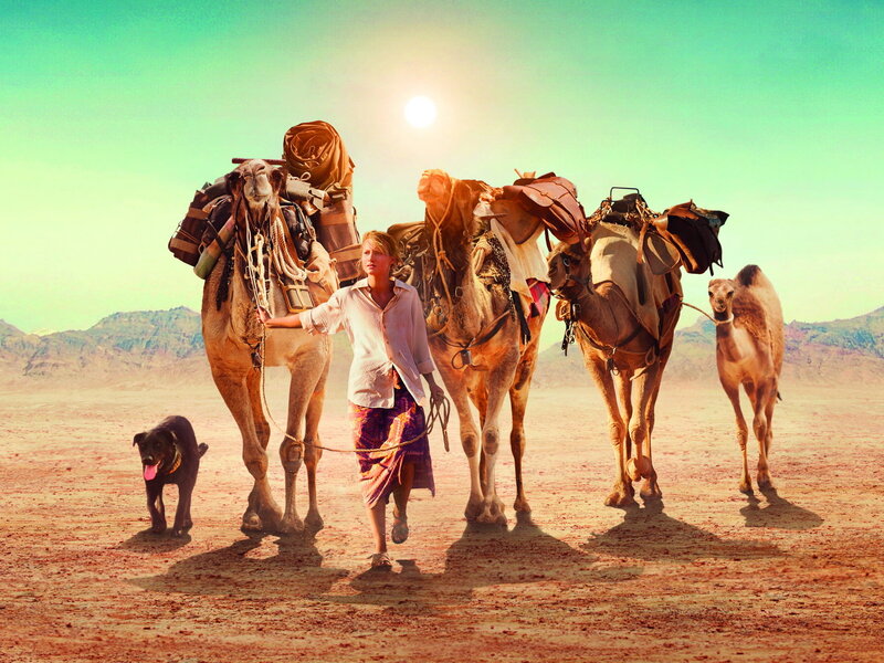 Desert journey with camels