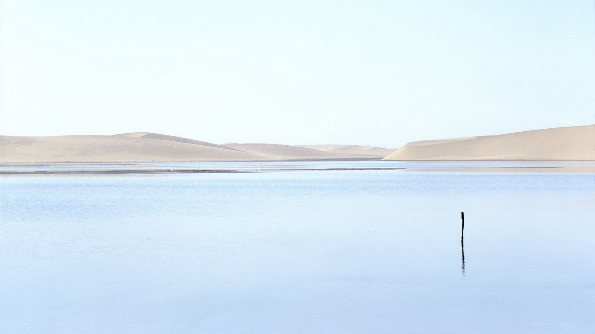Desert lake with sand dunes