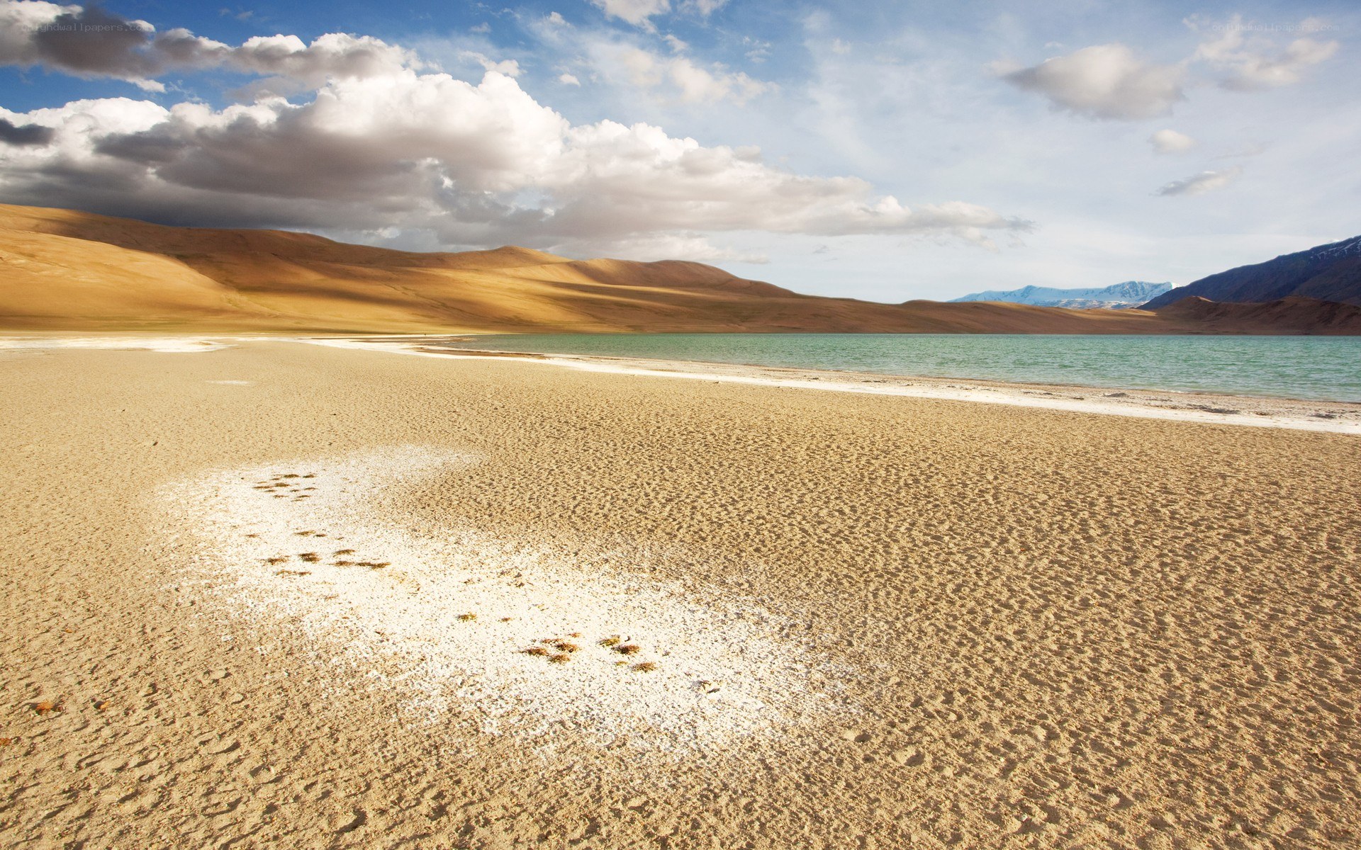 Desert lake with sand dunes