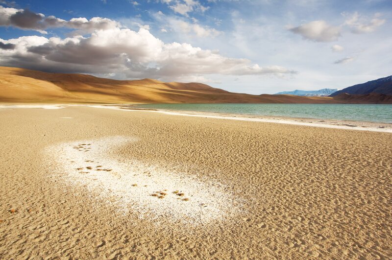 Desert lake with sand dunes