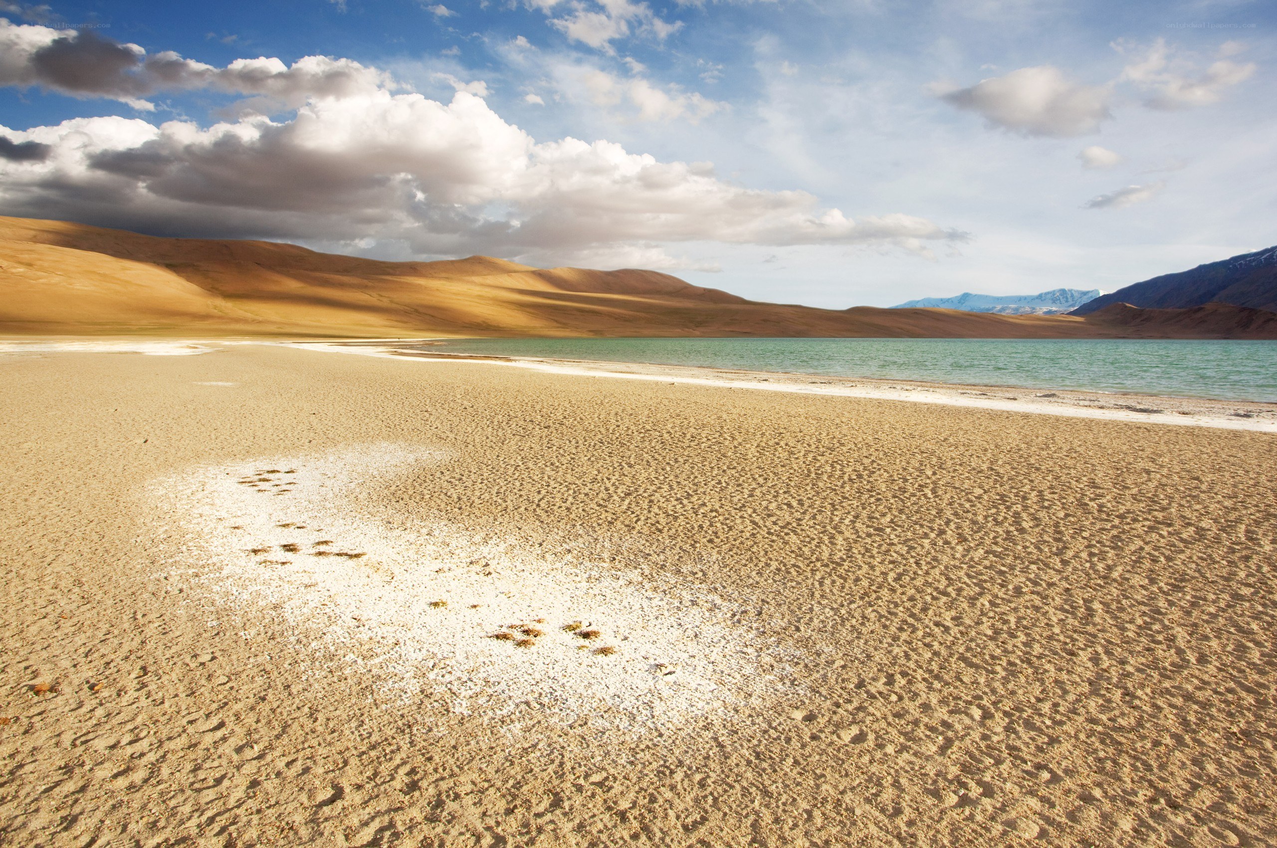 Desert lake with sand dunes