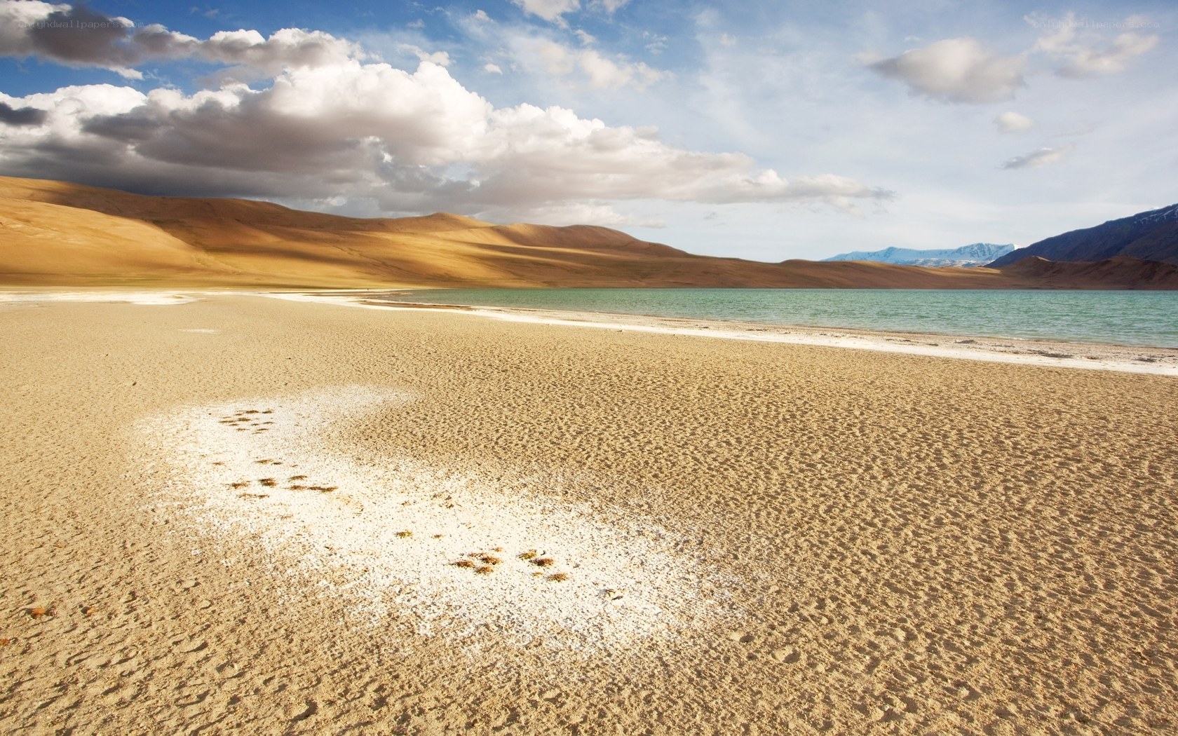 Desert lake with sand dunes