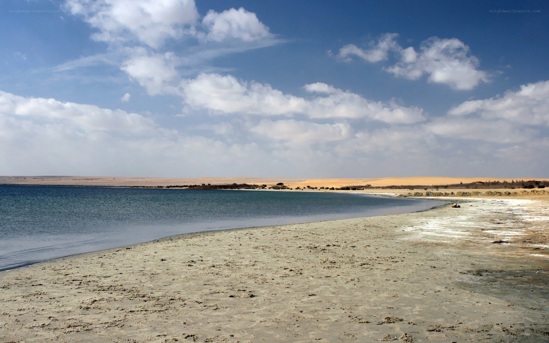 Desert lake with sandy shore