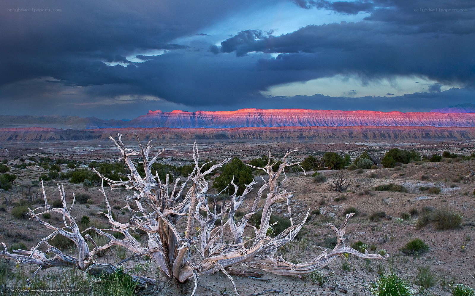 Desert landscape at dusk