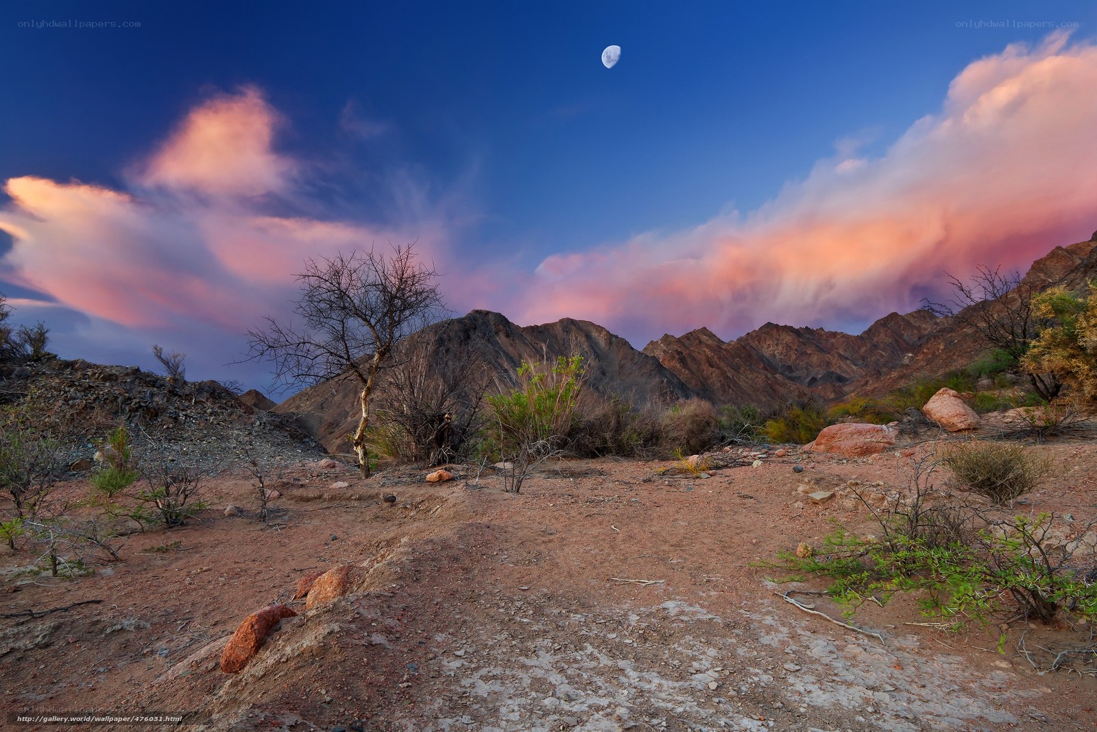 Desert landscape at dusk