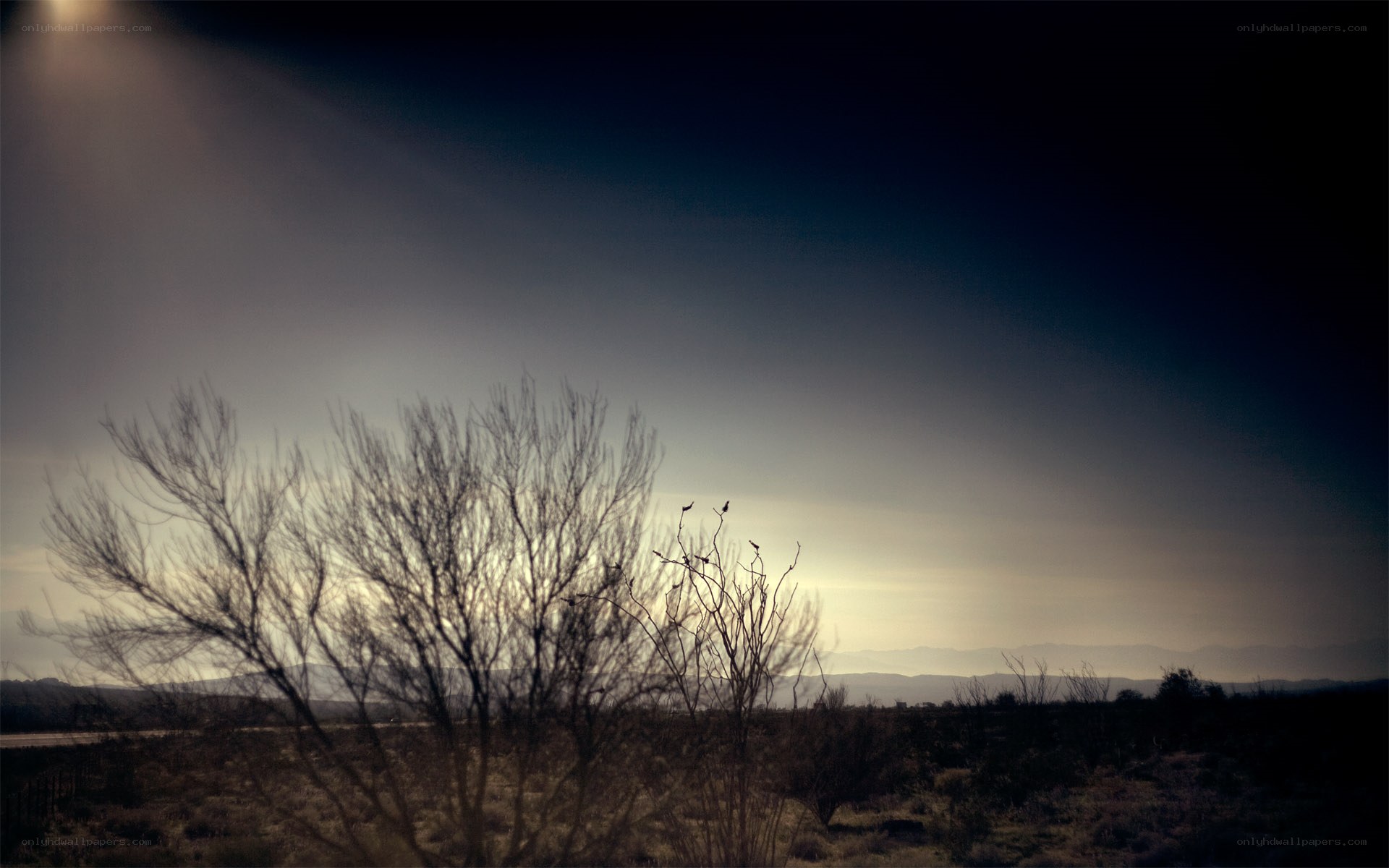 Desert landscape at dusk