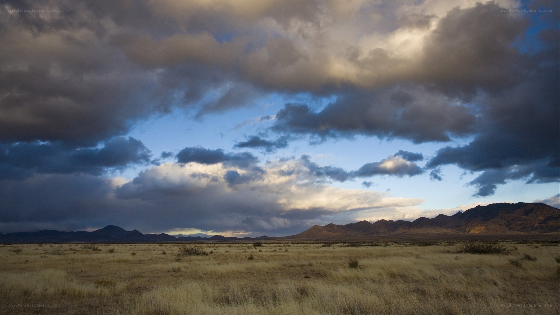 Desert landscape at dusk