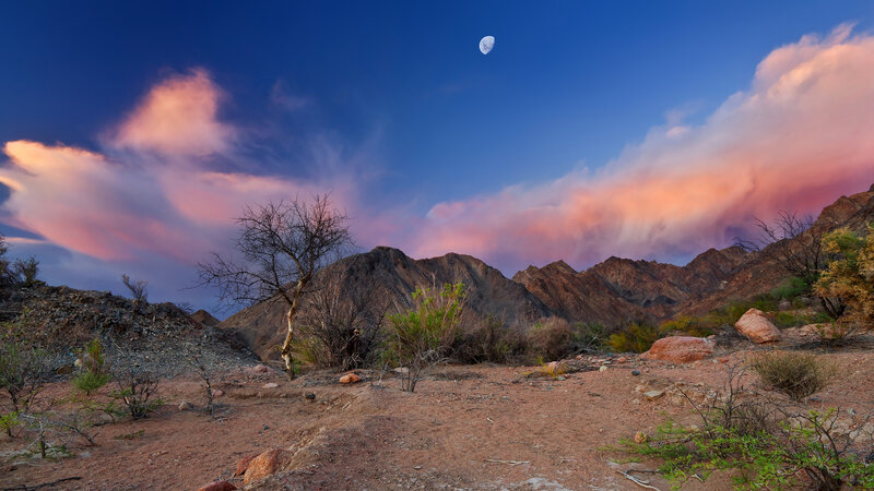 Desert Landscape at Dusk — Blue, Dramatic, Sunset