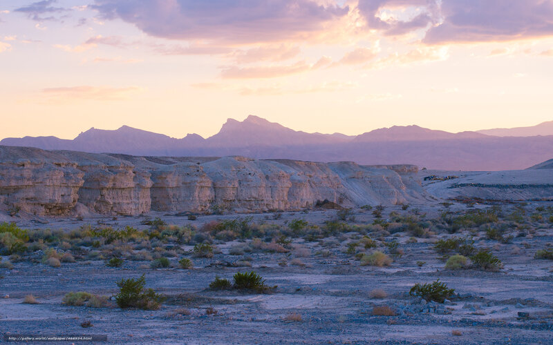 Desert Landscape at Dusk — Purple, Serene, Sunset