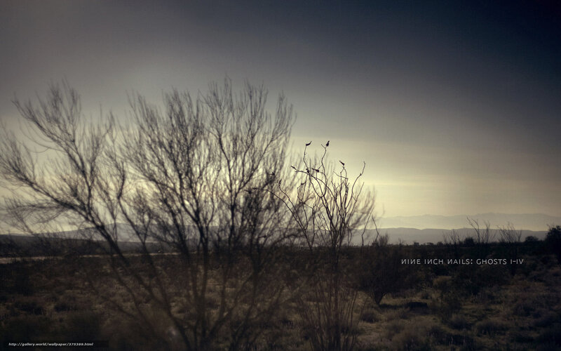 Desert landscape at dusk