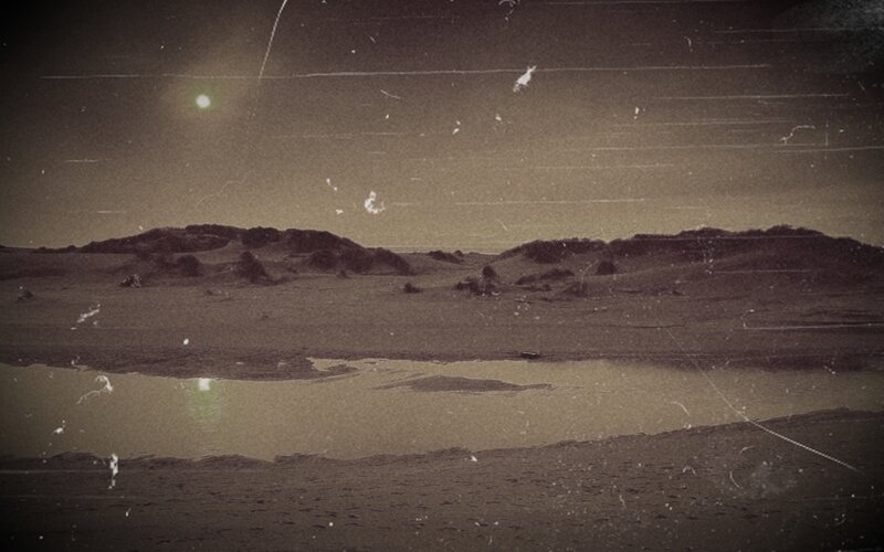 desert landscape at night