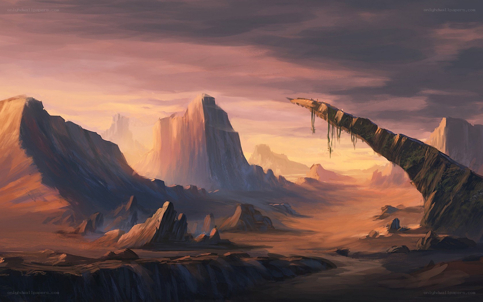 Desert landscape at sunset