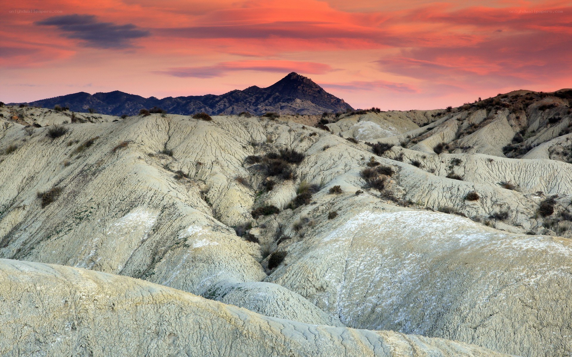 Desert landscape at sunset