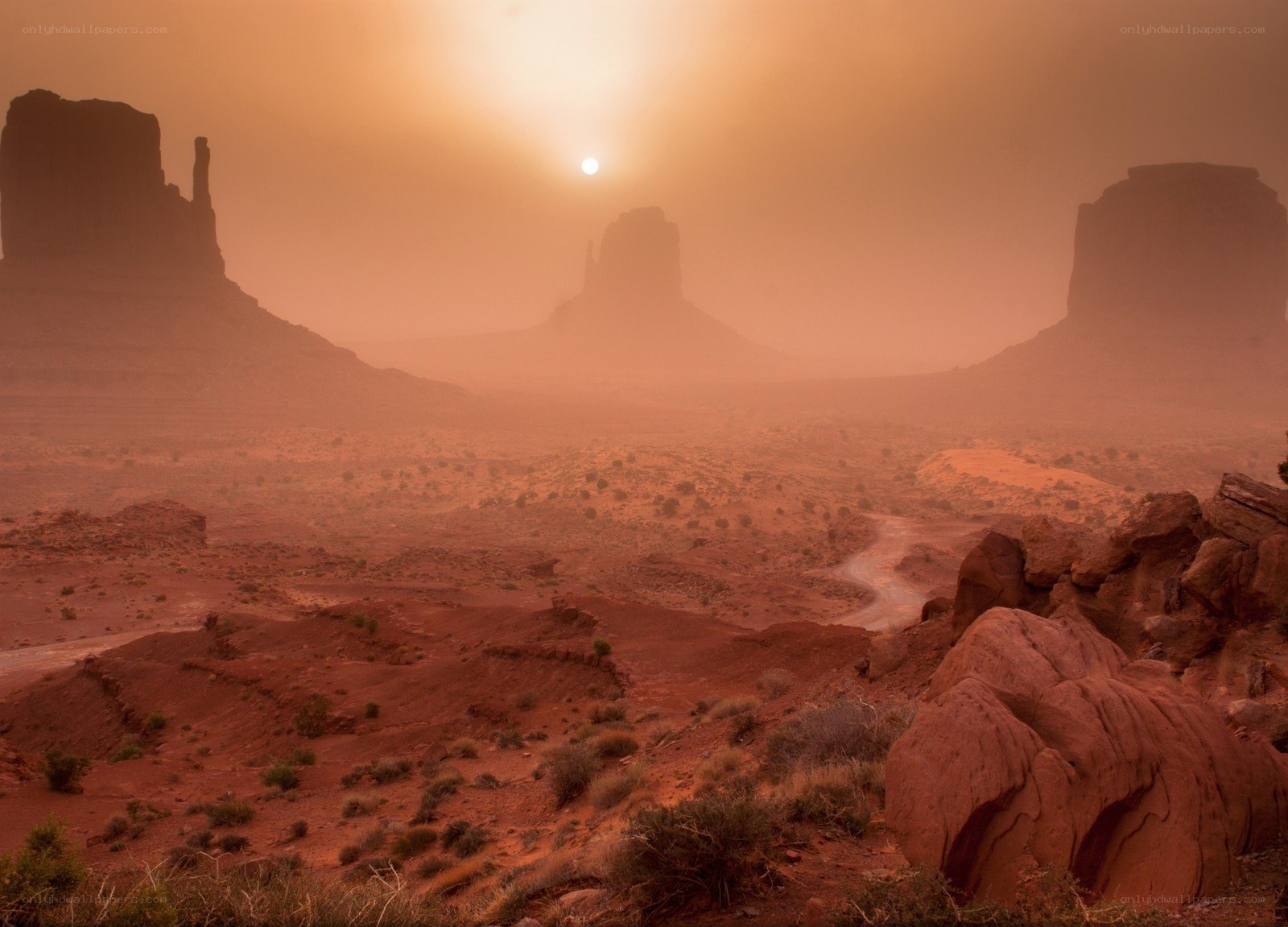 Desert landscape at sunset
