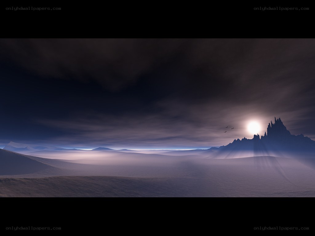 Desert landscape at sunset