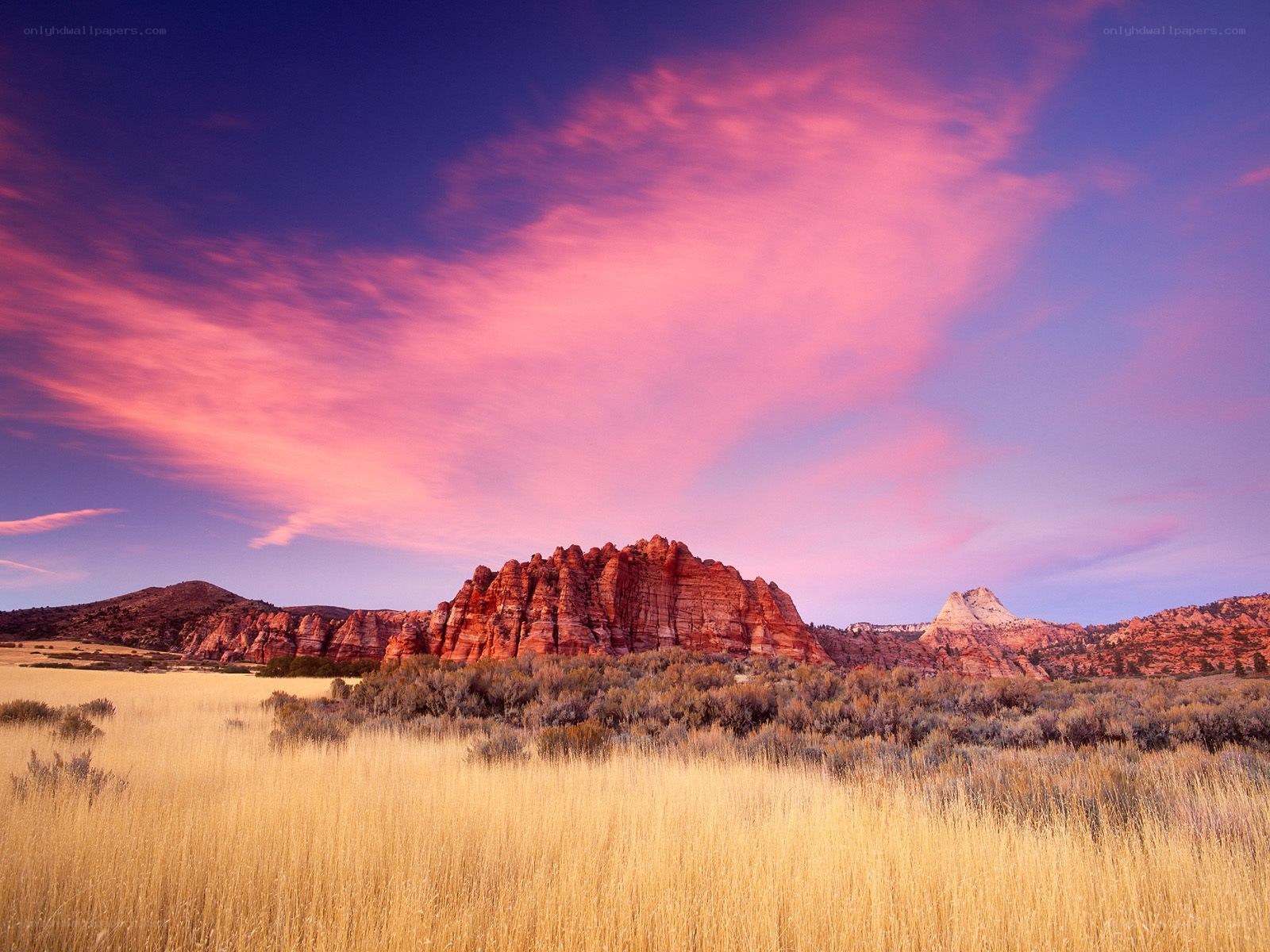Desert landscape at sunset