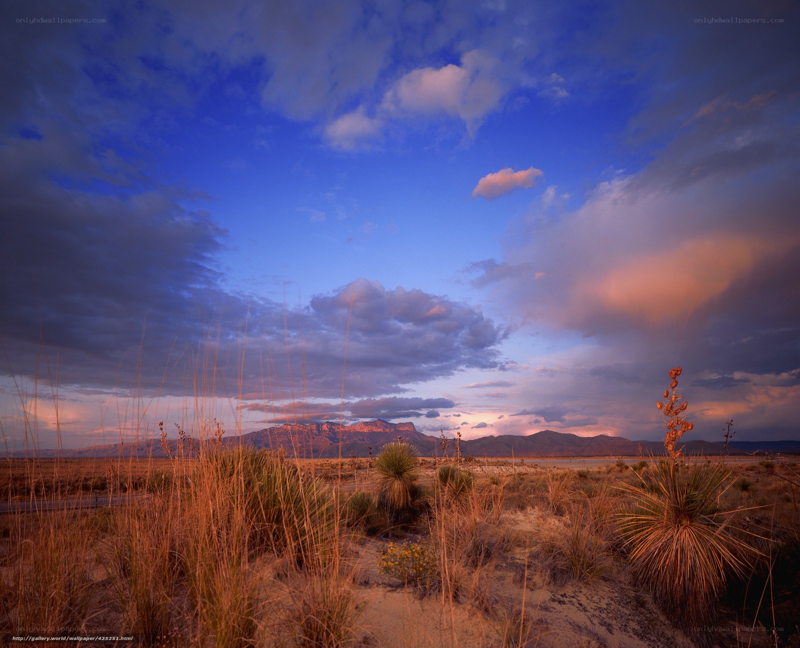 Desert landscape at sunset