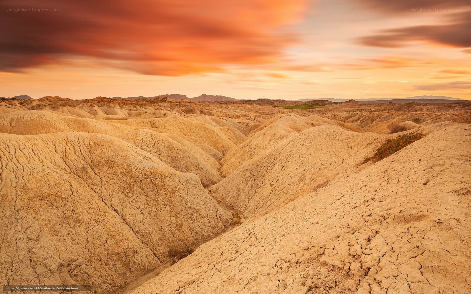 Desert landscape at sunset