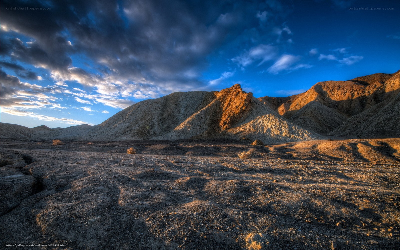 Desert landscape at sunset