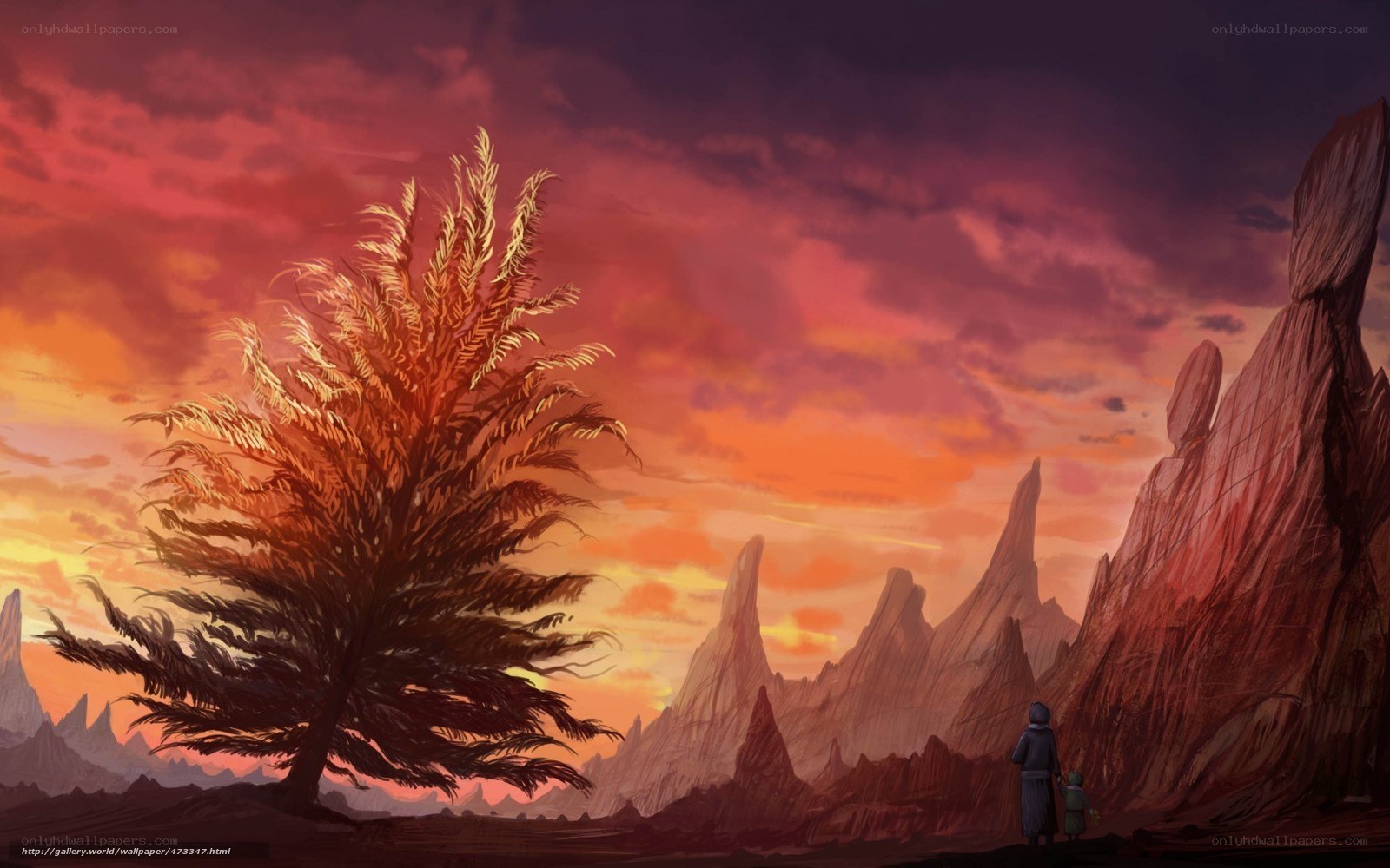 Desert landscape at sunset