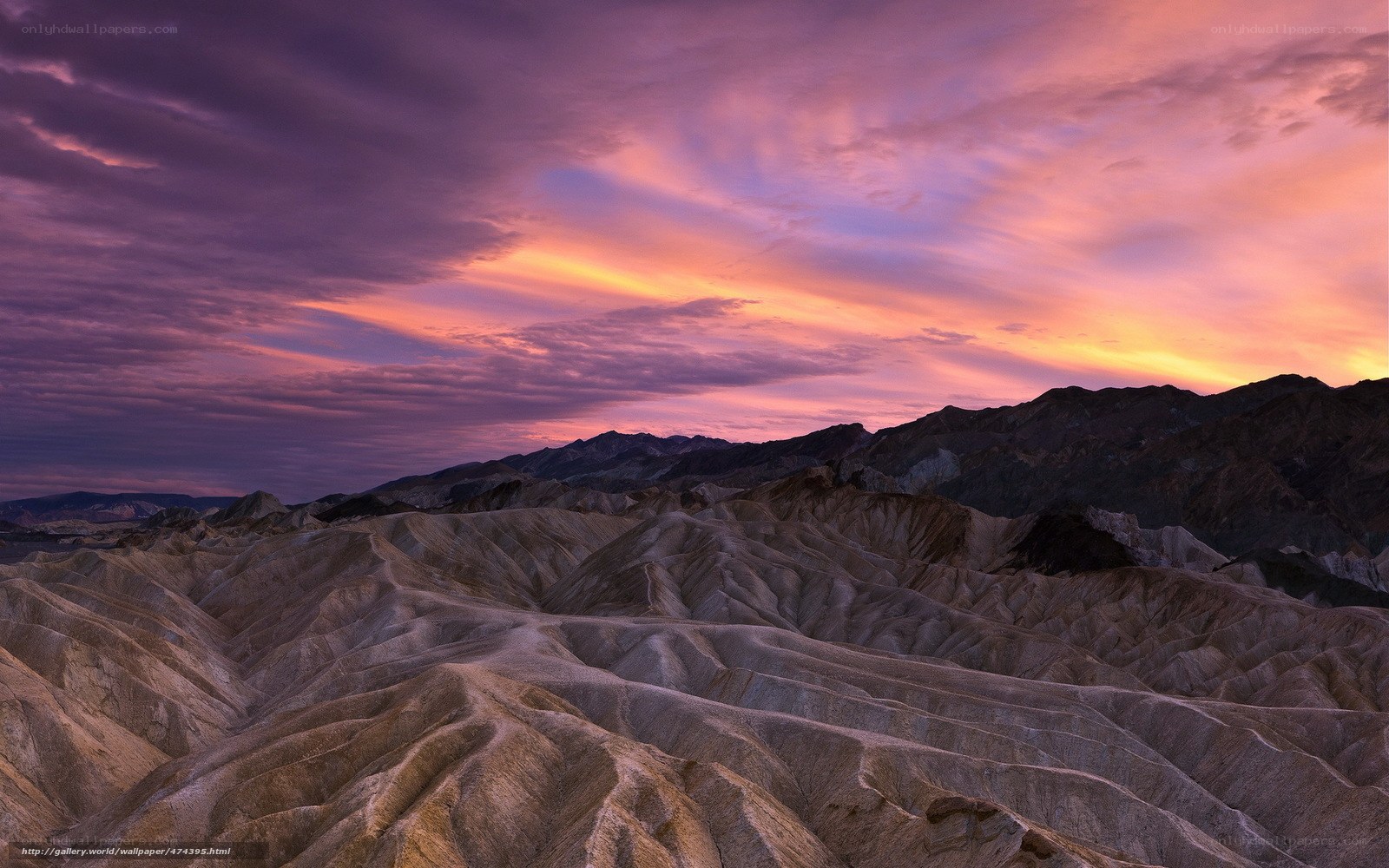 Desert landscape at sunset