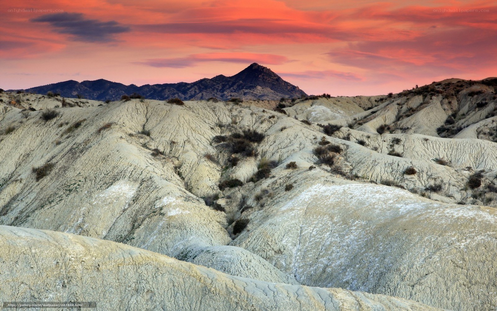 Desert landscape at sunset