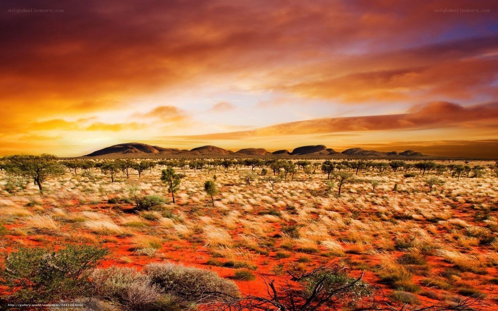 Desert landscape at sunset