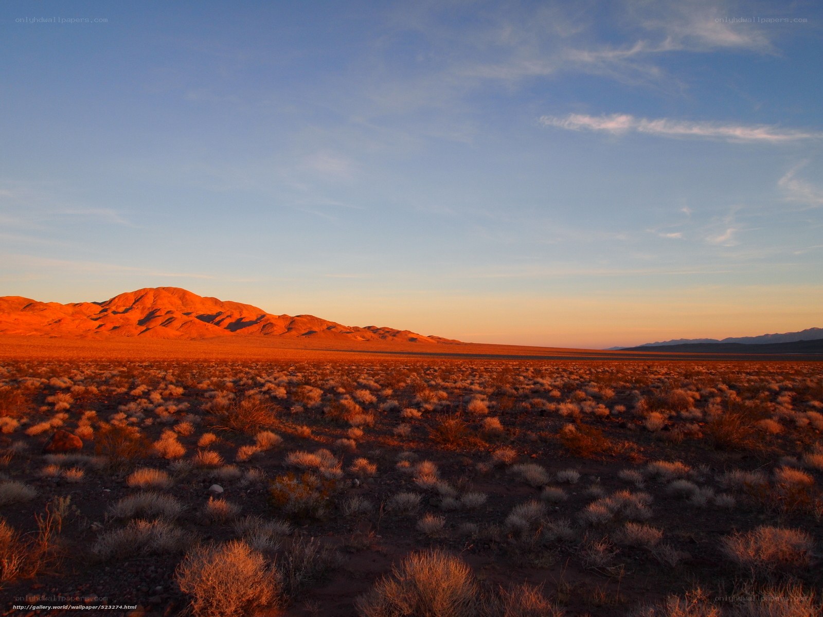 Desert landscape at sunset
